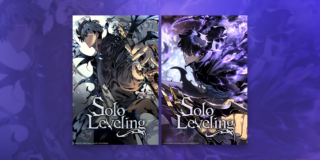 Two main cover images of Solo Leveling side story side by side